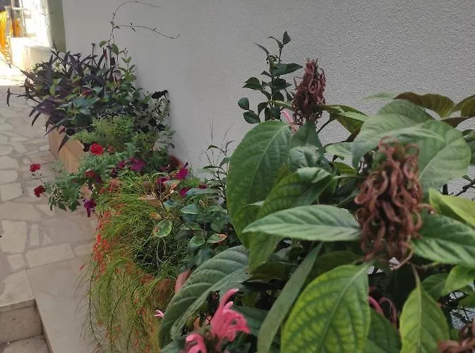By The Sea Appartement Trogir